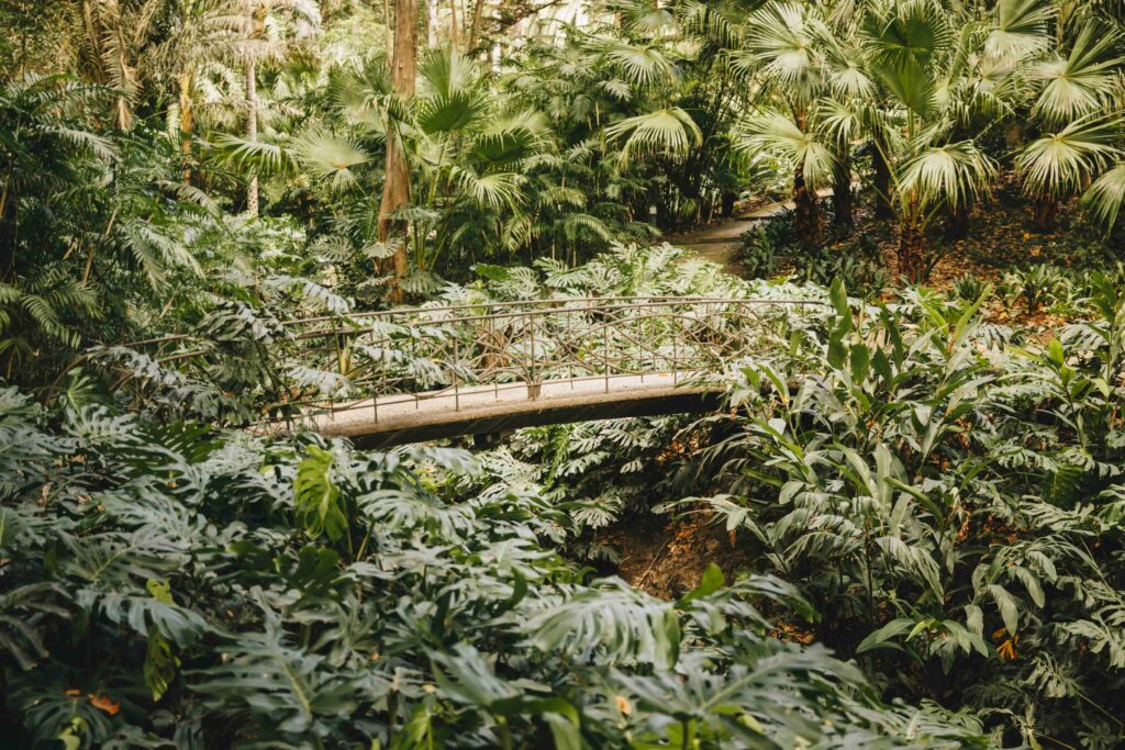 San Antonio Botanical Garden