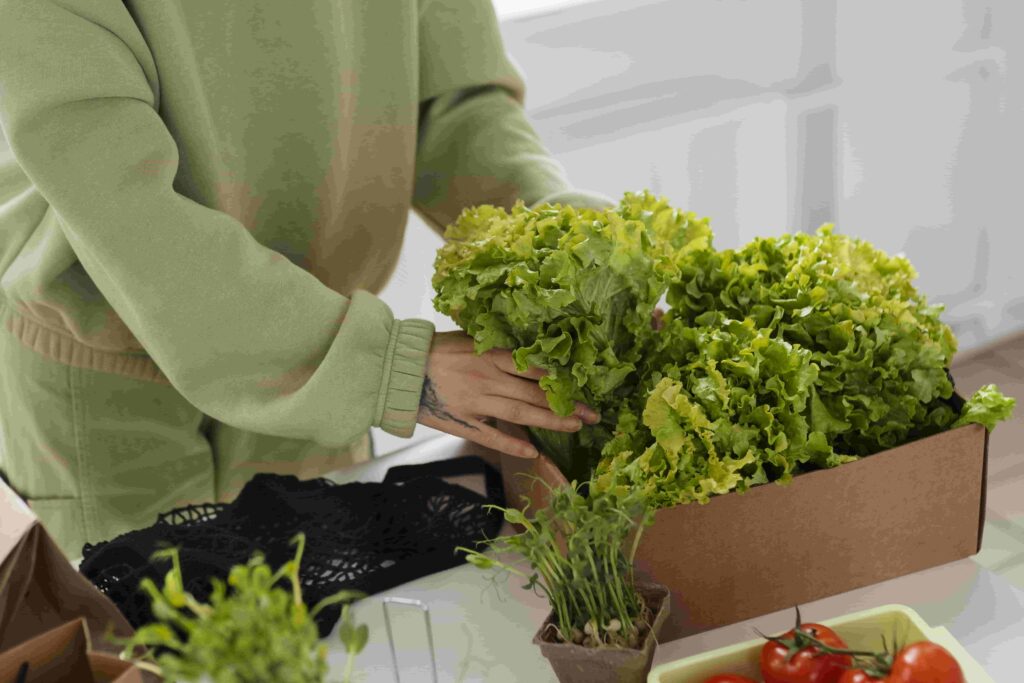 indoor vegetable garden